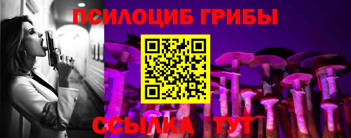 Лыткарино  купить наркотик  Вход с VPN  Псилоцибиновые грибы Magic Shrooms 